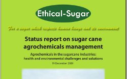 ethical sugar report