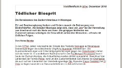 Artikel iz3w