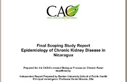 final scoping study 2009