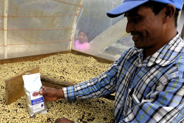 Estanislao präsentiert unseren Flor del Cafe vor dem neu geernteten Kaffee