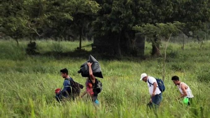 Die aktuelle Migration - Woran liegt es?